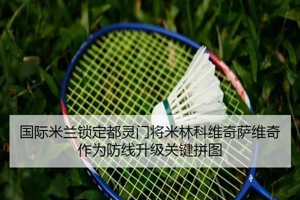 国际米兰锁定都灵门将米林科维奇萨维奇作为防线升级关键拼图