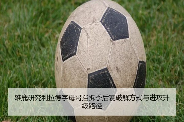 雄鹿研究利拉德字母哥挡拆季后赛破解方式与进攻升级路径（kaiyun）